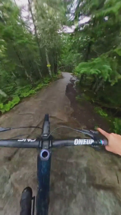 RideSight POV Shades